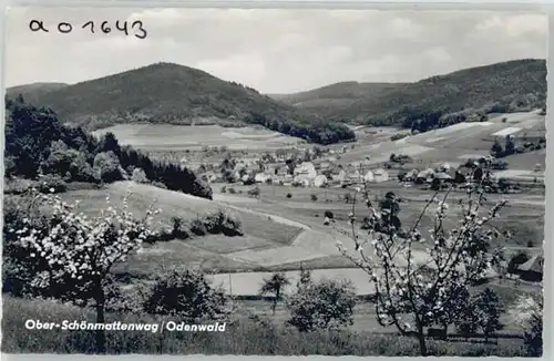 Ober-Schoenmattenwag Ober-Schoenmattenwag  * / Wald-Michelbach /Bergstrasse LKR