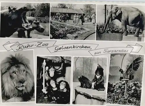 Gelsenkirchen Gelsenkirchen Ruhr-Zoo x / Gelsenkirchen /Gelsenkirchen Stadtkreis