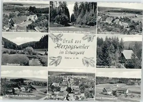 Herzogsweiler Herzogsweiler Zinsbachtal Noerdlinger Huette x / Pfalzgrafenweiler /Freudenstadt LKR