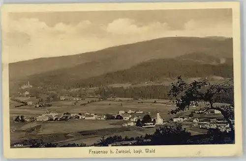 Frauenau Frauenau  ungelaufen ca. 1920 / Frauenau /Regen LKR