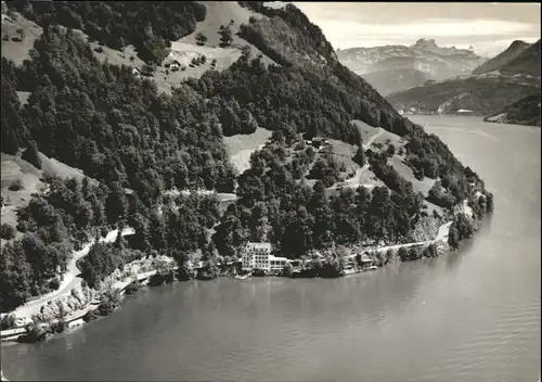 Gersau Vierwaldstaettersee Gersau Fliegeraufnahme Hotel Restaurant Seehof Du Lac x /  /