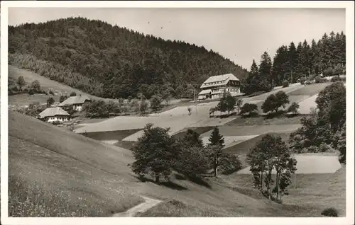 Schoenau Schwarzwald Schoenau Schwarzwald Gasthaus Pension Haldenhof * / Schoenau im Schwarzwald /Loerrach LKR