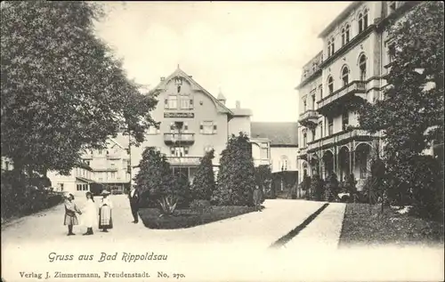 Bad Rippoldsau Schwarzwald Bad Rippoldsau  * / Bad Rippoldsau-Schapbach /Freudenstadt LKR