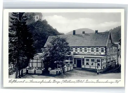 Zorge Zorge Hotel Pension Braunschweiger Hof * / Zorge /Osterode Harz LKR