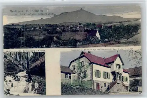 Oberdielbach Oberdielbach Gasthaus Pension Wolfsschlucht Zwingenberg x / Waldbrunn /Neckar-Odenwald-Kreis LKR