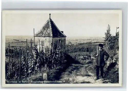 Muellheim Baden Muellheim Reggenhag Bammertshaeusle * / Muellheim /Breisgau-Hochschwarzwald LKR