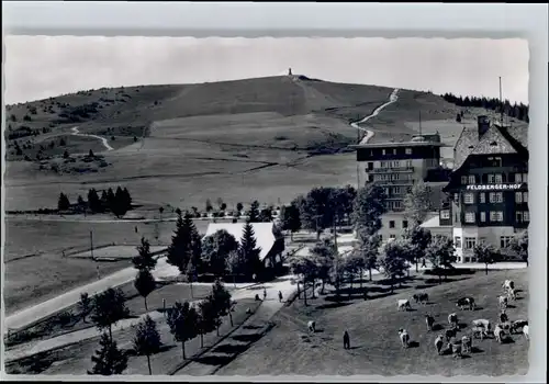 Feldberg Schwarzwald Feldberg Schwarzwald Hotel Feldbergerhof * / Feldberg (Schwarzwald) /Breisgau-Hochschwarzwald LKR