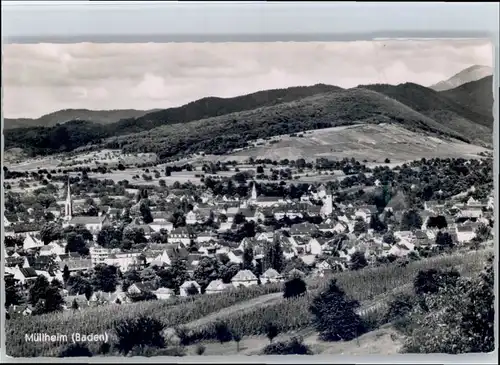 Muellheim Baden Muellheim  * / Muellheim /Breisgau-Hochschwarzwald LKR