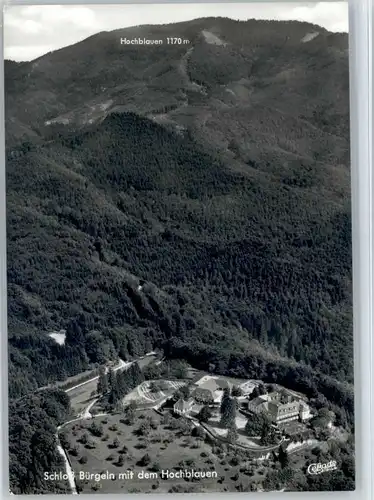 Badenweiler Badenweiler Schloss Buergeln Fliegeraufnahme  * / Badenweiler /Breisgau-Hochschwarzwald LKR