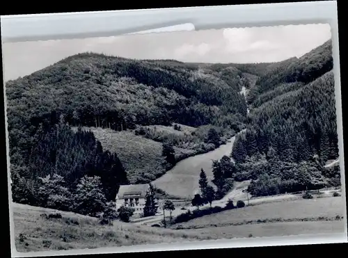 Wiemeringhausen Wiemeringhausen Hotel Restaurant Haus Wildenstein * / Olsberg /Hochsauerlandkreis LKR