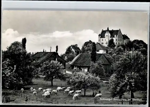 Stettfurt Stettfurt Schloss Sonnenberg x / Stettfurt /Bz. Frauenfeld