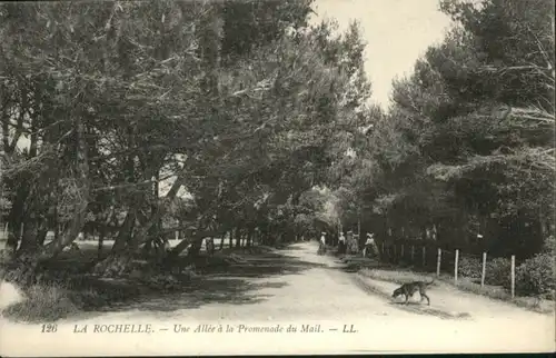 La Rochelle Charente-Maritime La Rochelle Promenade du Mail * / La Rochelle /Arrond. de La Rochelle