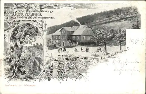 Giesshuebel Adlergebirge Tschechien Weinhaus Schnappe * / Olesnice v Orlickych Horach /