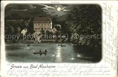 Bad Nauheim Teich bei Mondschein Kat. Bad Nauheim
