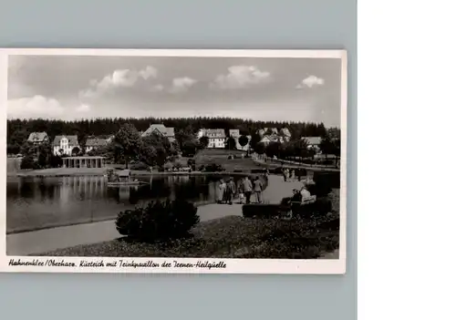 Hahnenklee-Bockswiese Harz  / Goslar /Goslar LKR