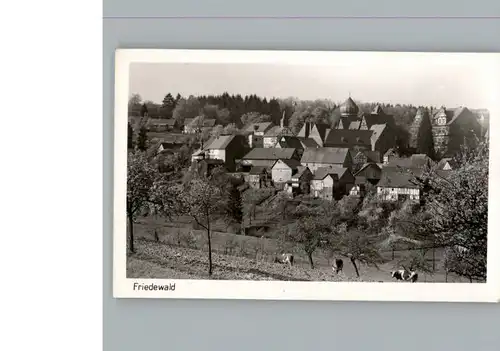 Friedewald Westerwald  / Friedewald /Altenkirchen Westerwald LKR