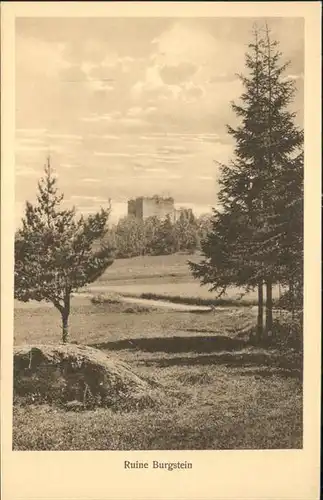 Burgstein Plauen Ruine / Burgstein Plauen /Vogtlandkreis LKR