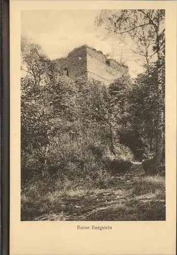 Burgstein Plauen Ruine / Burgstein Plauen /Vogtlandkreis LKR