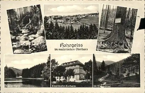 Hohegeiss Harz Partie am Wolfsbach Neuer Teich Dicke Tannen Eisenbahn Kurheim Eisbachtal Kat. Braunlage