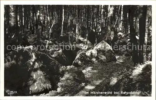 Ruhpolding Partie im Maerchenwald Kat. Ruhpolding