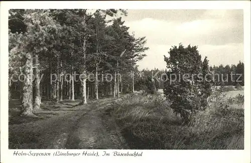 Holm Seppensen Partie im Buesenbachtal Lueneburger Heide Kat. Buchholz in der Nordheide