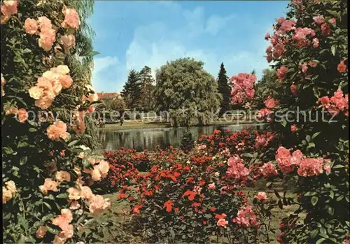 Uetersen Rosarium Teich Kat. Uetersen