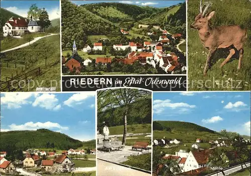 Riedern Unterfranken Ortsansicht mit Kirche Erftal Partie am Bildstock Muehle Breitenau Reh Kat. Eichenbuehl