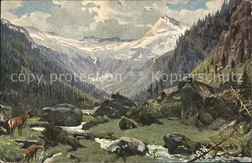 Mittersill Oberpinzgau Ammertaler Oed Felbertal Teufelsspitze Hirsch Reh Naturschutzpark Hohe Tauern Kuenstlerkarte Kat. Mittersill