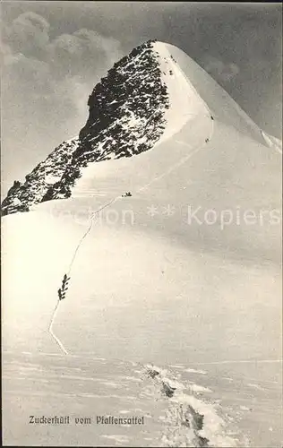 Zuckerhuetl Blick vom Pfaffensattel Stubaier Alpen Gipfelbesteigung Kat. Neustift im Stubaital