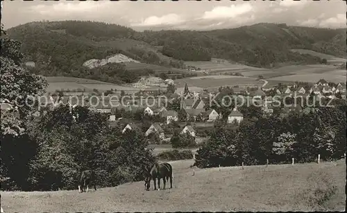 Borgholzhausen Teutoburger wald Kuehe Kat. Borgholzhausen