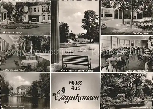 Bad Oeynhausen Kurterrasse Kurhaus Kurpark Rosengarten Kat. Bad Oeynhausen