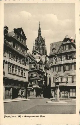 Frankfurt Main Saalgasse mit Heiliggeist Brunnen und Dom Kat. Frankfurt am Main