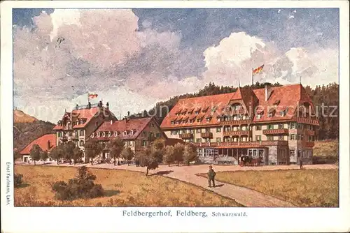 Feldberg Schwarzwald Hotel Feldbergerhof Kuenstlerkarte Kat. Feldberg (Schwarzwald)