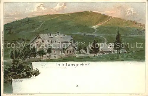 Feldberg Schwarzwald Feldberghof Kuenstlerkarte Kat. Feldberg (Schwarzwald)