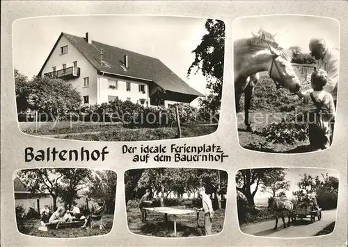 Immenhoefe Baltenhof Pension Ponys Kinder Kat. Donaueschingen