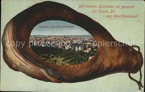 Bochum Panorama vom Bismarckturm Schinken Kat. Bochum