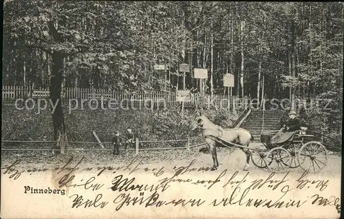 Pinneberg Pferdekutsche am Wald Kat. Pinneberg