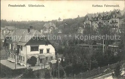 Freudenstadt Villenkolonie u.Kurhaus Palmenwald Kat. Freudenstadt