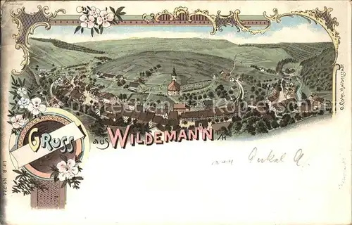 Wildemann Gesamtansicht Kat. Wildemann Harz
