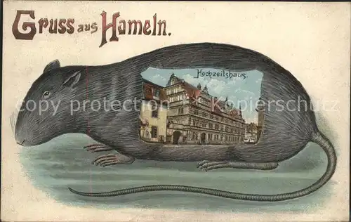 Hameln Hochzeitshaus und Wahrzeichen (Ratte) von Hameln (Feldpost) Kat. Hameln