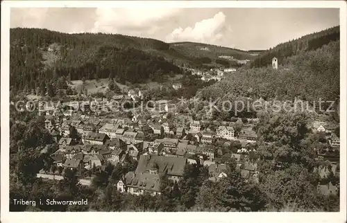 Triberg Schwarzwald vom Kapellenberg Kat. Triberg im Schwarzwald