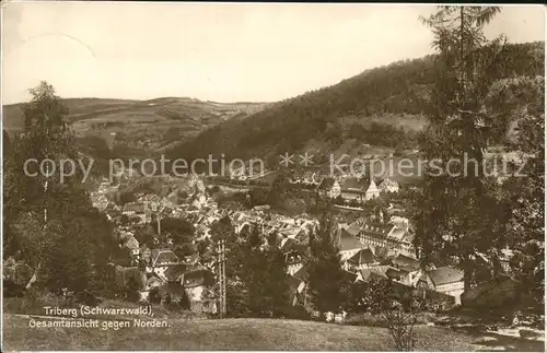 Triberg Schwarzwald Gesamtansicht Kat. Triberg im Schwarzwald