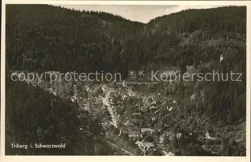 Triberg Schwarzwald Blick vom Hohnen Kat. Triberg im Schwarzwald