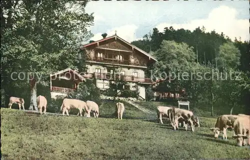 St Quirin Fremdenheim Tagescafe Unterbuchberg Viehweide Kat. Gmund a.Tegernsee