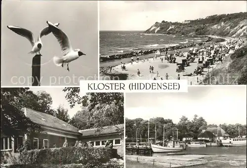 Kloster Hiddensee Strand Gerhard Hauptmann Gedenkstaette Hafen Moewen Kat. Insel Hiddensee