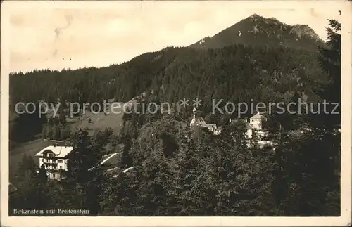 Birkenstein Ortsansicht mit Breitenstein Chiemgauer Alpen Kat. Fischbachau