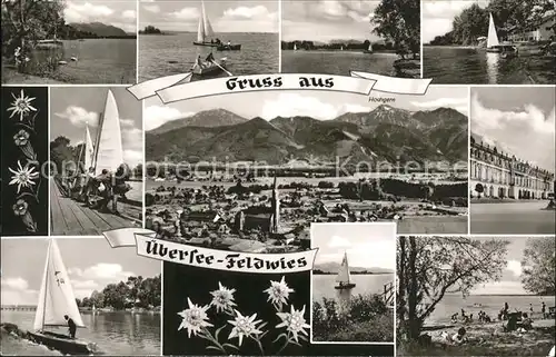 Feldwies Chiemsee Segelsport Badestrand Gesamtansicht mit Alpenpanorama Edelweiss Kat. uebersee