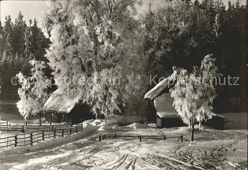 Trautenstein Harz Winterzauber im Harz Kat. Hasselfelde