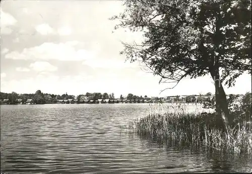 Mirow Uferpartie am Mirower See Kat. Mirow Mecklenburg