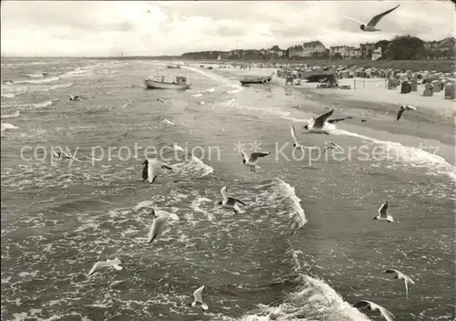 Ahlbeck Ostseebad Strand Moewen